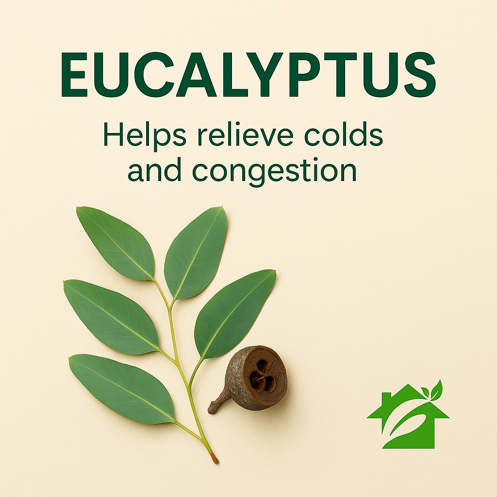 InnoGreen Magic – EcoCleaning Multi-Purpose Cleaner | 100+ Uses (16oz / 473ml)