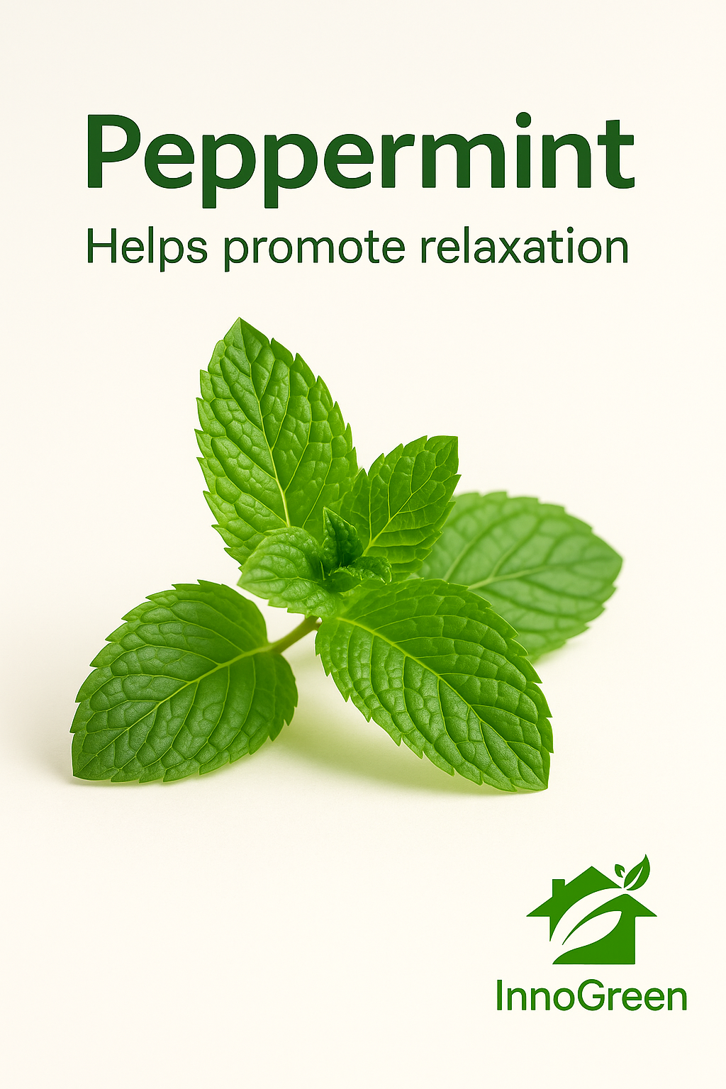 InnoGreen Magic – EcoCleaning Multi-Purpose Cleaner | 100+ Uses (16oz / 473ml)