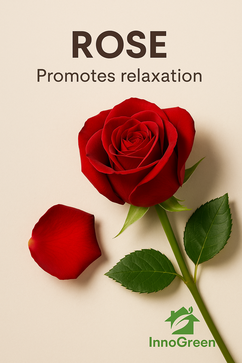 InnoGreen Magic – EcoCleaning Multi-Purpose Cleaner | 100+ Uses (16oz / 473ml)